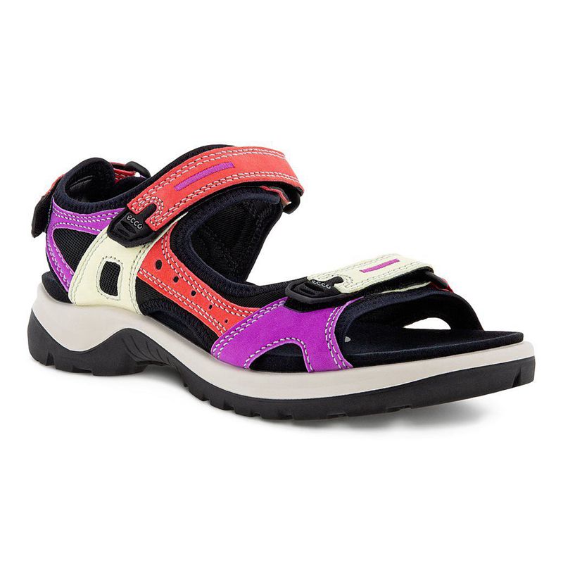 Women Ecco Offroad - Sandals Multicolour - India BNAGCL081